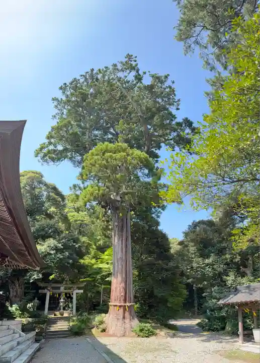 菅生石部神社(石川県)