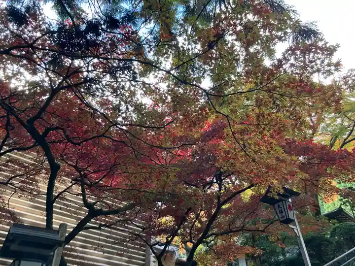 最乗寺(道了尊)(神奈川県)