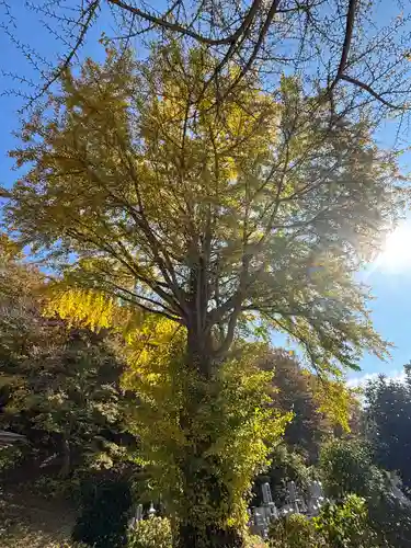 壽徳寺 じゅとくじ(福島県)