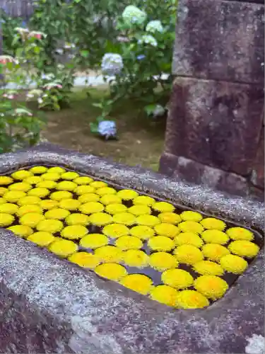 本光寺の手水舎