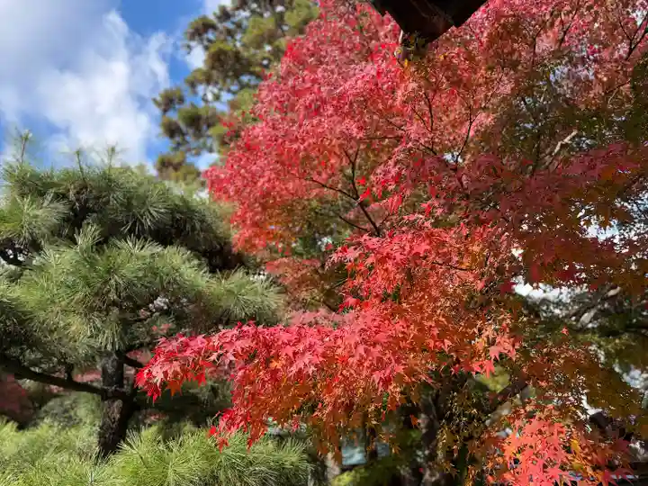 伊勢の国 四天王寺(三重県)