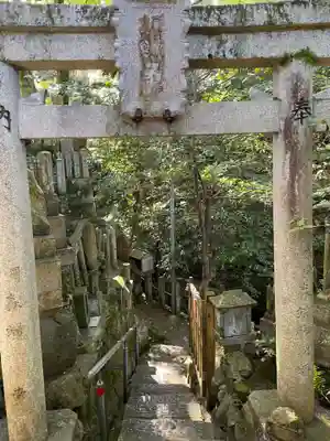 五社之瀧神社(京都府)