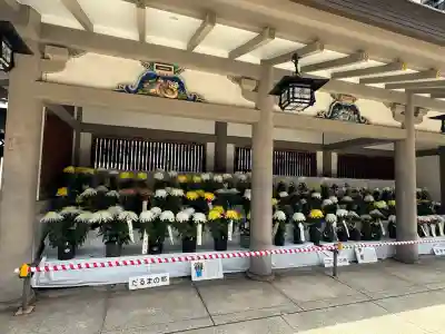 湯島天満宮(東京都)