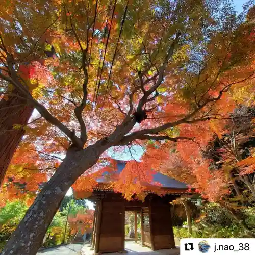 普門寺(切り絵御朱印発祥の寺)の山門