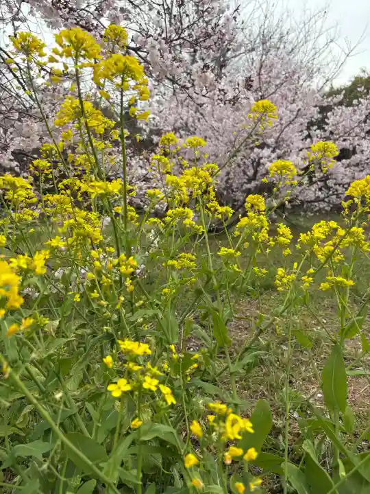 花岳寺の{uncategorized: "未分類", other: "その他", undefined: "問題あり", building: "その他建物", grave: "お墓", sacred_gate: "鳥居", guardian: "狛犬", statue: "像", buddha: "仏像", history: "歴史", nature: "自然", garden: "庭園", animal: "動物", pagoda: "塔", temizu: "手水舎", mountain_gate: "山門・神門", sanctuary: "本殿・本堂", subordinate: "末社・摂社", art: "芸術", scenery: "景色", jizo: "地蔵", ema: "絵馬", goshuin: "御朱印", omikuji: "おみくじ", items: "授与品その他", amulet: "お守り", goshuincho: "御朱印帳", eats: "食事", festival: "お祭り", votive_dance: "神楽", shichigosan: "七五三参", wedding: "結婚式", experience: "体験その他", initially: "初詣", around: "周辺", anti_infection: "感染症対策"}