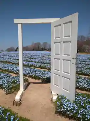 巳徳神社の周辺