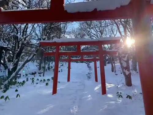 札幌伏見稲荷神社の鳥居