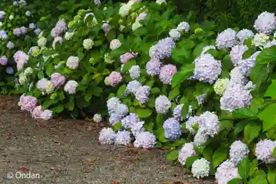日前神宮・國懸神宮(和歌山県)