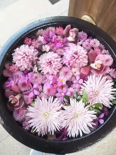 最明寺の手水舎