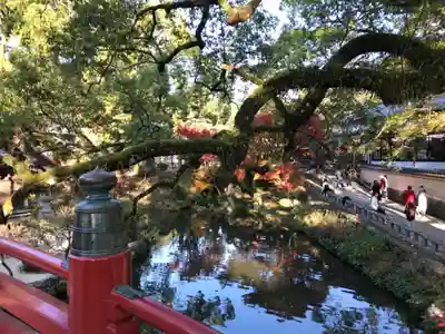 太宰府天満宮(福岡県)