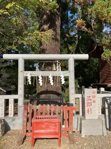 大杉神社の鳥居