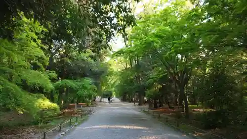 賀茂御祖神社（下鴨神社）の自然