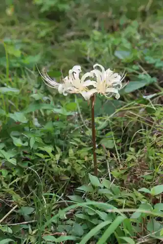 国宝 大法寺(長野県)