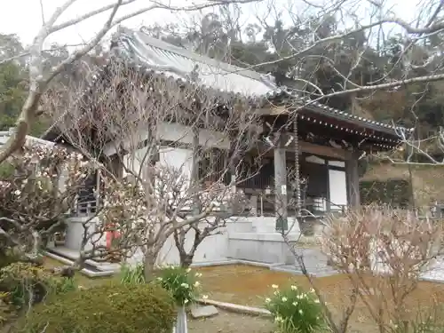 来迎寺（西御門）の庭園