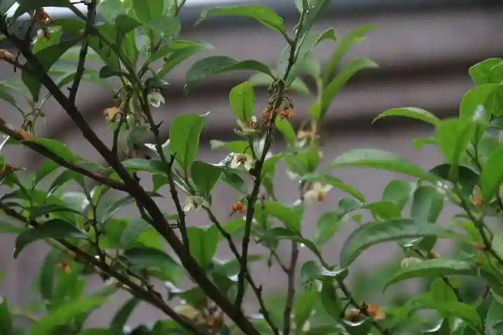 阿邪訶根神社の庭園