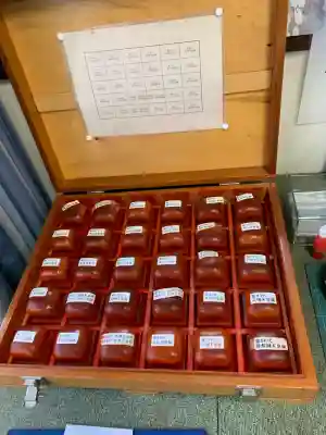 橿原神宮(奈良県)