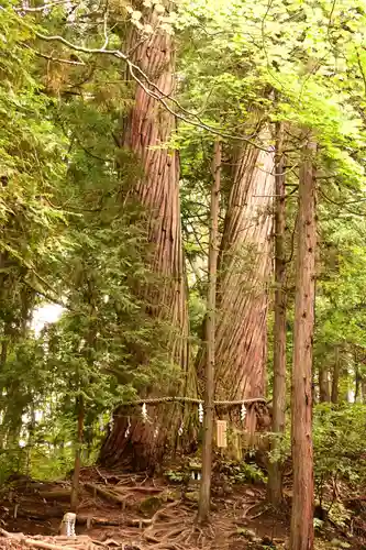 戸隠神社火之御子社(長野県)