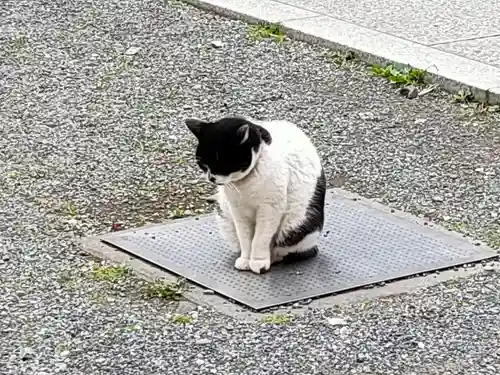 回向院(東京都)