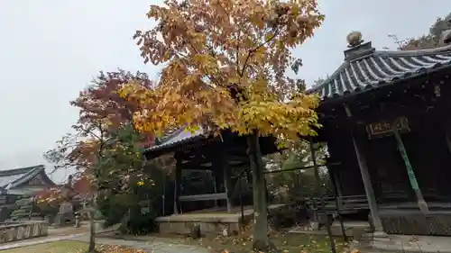 観音寺（山崎聖天）(京都府)