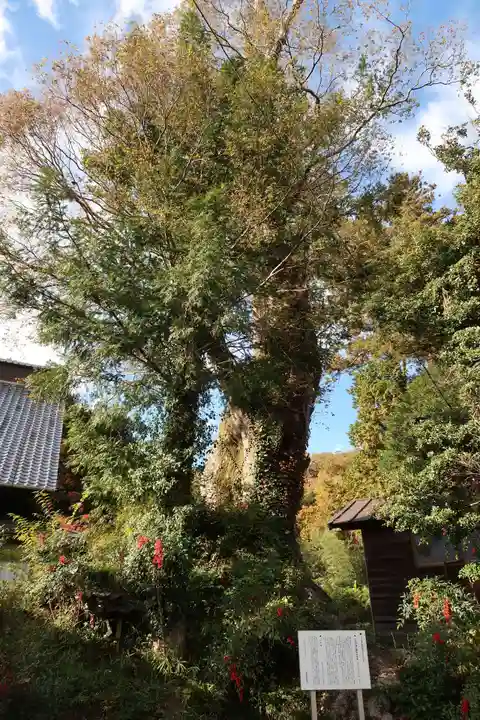 八幡神社(山梨県)