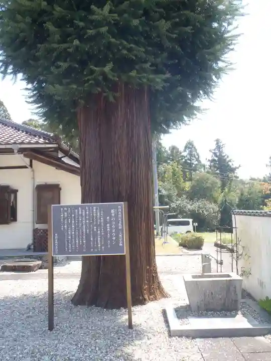向陽寺(愛知県)