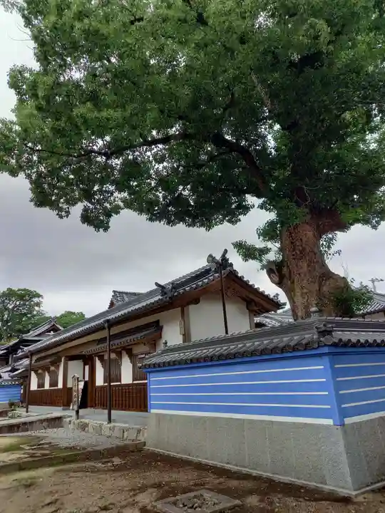 本山寺のその他建物