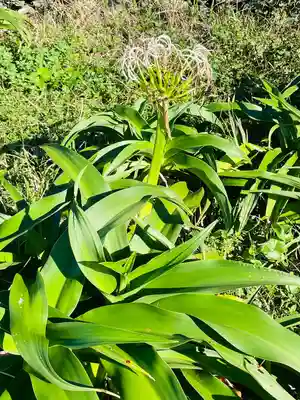 夢崎明神(山口県)