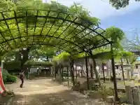 葛井寺の{uncategorized: "未分類", other: "その他", undefined: "問題あり", building: "その他建物", grave: "お墓", sacred_gate: "鳥居", guardian: "狛犬", statue: "像", buddha: "仏像", history: "歴史", nature: "自然", garden: "庭園", animal: "動物", pagoda: "塔", temizu: "手水舎", mountain_gate: "山門・神門", sanctuary: "本殿・本堂", subordinate: "末社・摂社", art: "芸術", scenery: "景色", jizo: "地蔵", ema: "絵馬", goshuin: "御朱印", omikuji: "おみくじ", items: "授与品その他", amulet: "お守り", goshuincho: "御朱印帳", eats: "食事", festival: "お祭り", votive_dance: "神楽", shichigosan: "七五三参", wedding: "結婚式", experience: "体験その他", initially: "初詣", around: "周辺", anti_infection: "感染症対策"}