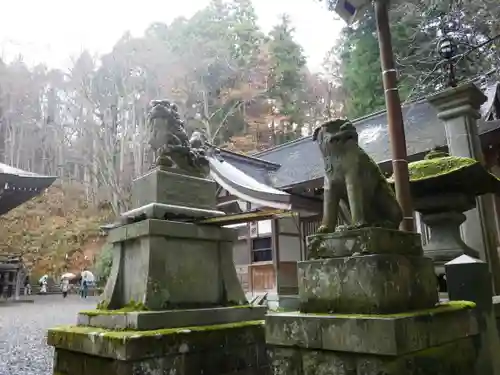 戸隠神社中社の狛犬