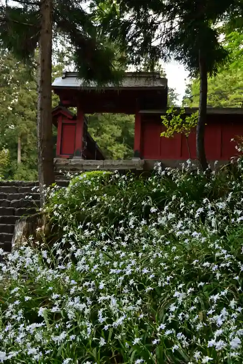 妙義神社(群馬県)