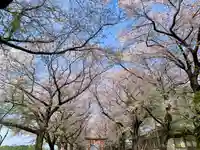 東蕗田天満社の自然