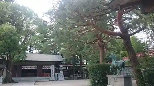 黒磯神社の自然