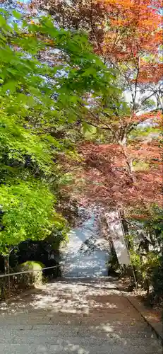 葛城一言主神社のその他建物
