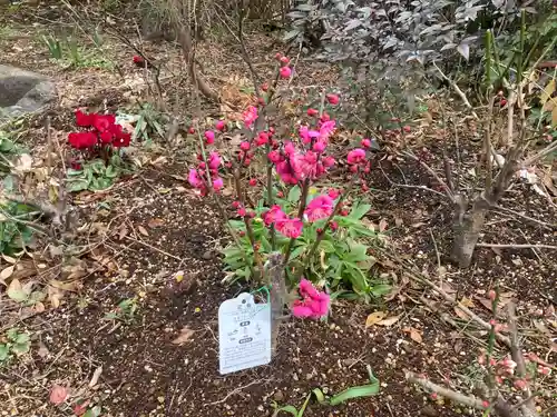 横浜御嶽神社(神奈川県)