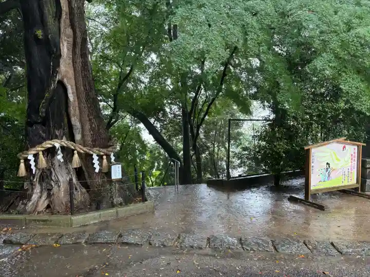 常陸國總社宮の{uncategorized: "未分類", other: "その他", undefined: "問題あり", building: "その他建物", grave: "お墓", sacred_gate: "鳥居", guardian: "狛犬", statue: "像", buddha: "仏像", history: "歴史", nature: "自然", garden: "庭園", animal: "動物", pagoda: "塔", temizu: "手水舎", mountain_gate: "山門・神門", sanctuary: "本殿・本堂", subordinate: "末社・摂社", art: "芸術", scenery: "景色", jizo: "地蔵", ema: "絵馬", goshuin: "御朱印", omikuji: "おみくじ", items: "授与品その他", amulet: "お守り", goshuincho: "御朱印帳", eats: "食事", festival: "お祭り", votive_dance: "神楽", shichigosan: "七五三参", wedding: "結婚式", experience: "体験その他", initially: "初詣", around: "周辺", anti_infection: "感染症対策"}