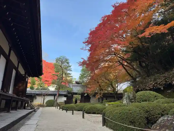 知恩院(京都府)