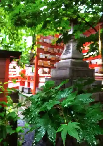 須賀神社の自然