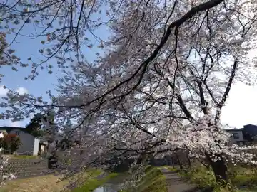 北土橋稲荷神社(猫又稲荷)(新潟県)