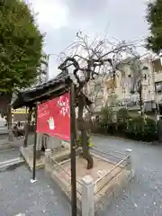 柏神社の庭園