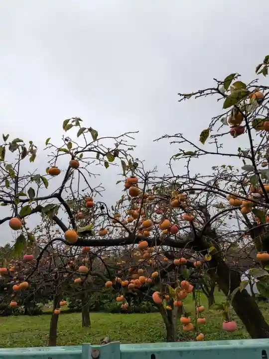 田端神社(東京都)