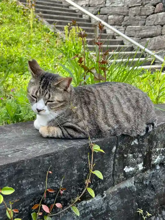 王子神社の{uncategorized: "未分類", other: "その他", undefined: "問題あり", building: "その他建物", grave: "お墓", sacred_gate: "鳥居", guardian: "狛犬", statue: "像", buddha: "仏像", history: "歴史", nature: "自然", garden: "庭園", animal: "動物", pagoda: "塔", temizu: "手水舎", mountain_gate: "山門・神門", sanctuary: "本殿・本堂", subordinate: "末社・摂社", art: "芸術", scenery: "景色", jizo: "地蔵", ema: "絵馬", goshuin: "御朱印", omikuji: "おみくじ", items: "授与品その他", amulet: "お守り", goshuincho: "御朱印帳", eats: "食事", festival: "お祭り", votive_dance: "神楽", shichigosan: "七五三参", wedding: "結婚式", experience: "体験その他", initially: "初詣", around: "周辺", anti_infection: "感染症対策"}