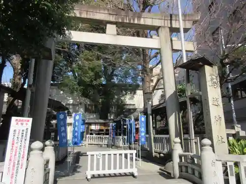 鳥越神社の鳥居