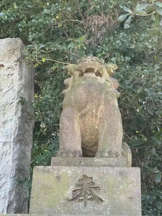 代々木八幡宮の狛犬