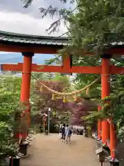 新倉富士浅間神社(山梨県)