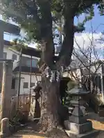 徳庵神社(大阪府)