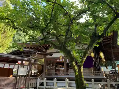 枚岡神社(大阪府)