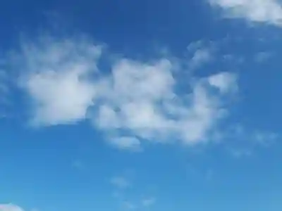 藤ヶ崎龍神社(滋賀県)