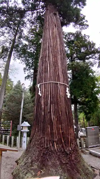 田村神社(滋賀県)