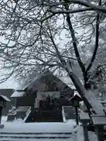 信濃神社の初詣