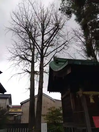 杉杜白髭神社(福井県)
